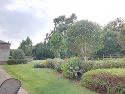 Picture 26